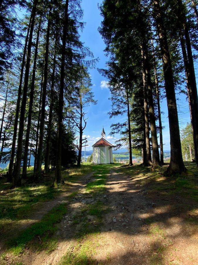 Apartmány Lipno 46 Lipno nad Vltavou Exterior foto